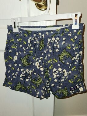 Patagonia Baggies shorts